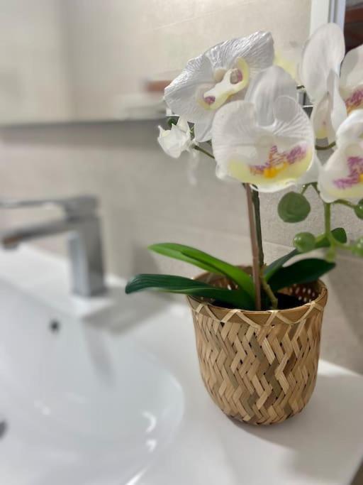 Appartamento Precioso Loft En Caion Rocha, Sobre La Arena Y El Mar Cayón Esterno foto